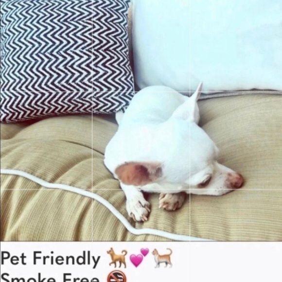 🏈 UT Austin Texas Longhorns T-shirt NWT - Picture 7 of 7